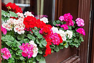 超级特惠！EA Play十周年：新用户第一个月7.6元